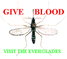 Give Blood  -  Visit the Everglades