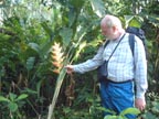 Exotic plants