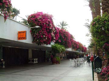 deserted shopping arcade