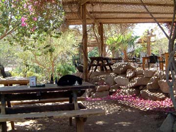 one of the Dolphin Reef bar/restaurants