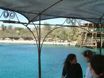 view of Dolphin Reef from small boat