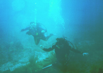 Girls Following