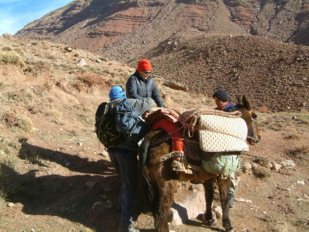 Mule ride